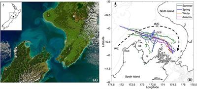 Spatial Structure of Low Salinity Submesoscale Features and Their Interactions With a Coastal Current